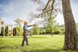 Best Tree Cabling and Bracing  in Cross Plains, TN