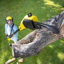 Best Aeration Services  in Cross Plains, TN